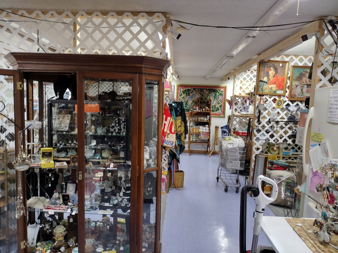 Gypsies Fleas N' Tiques