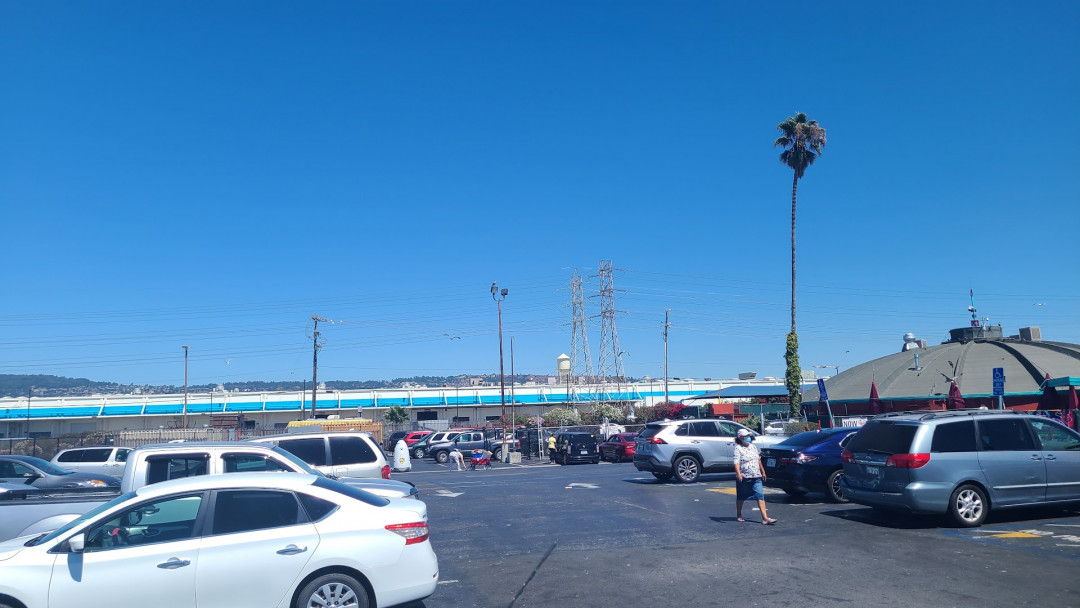 Pulga Oakland