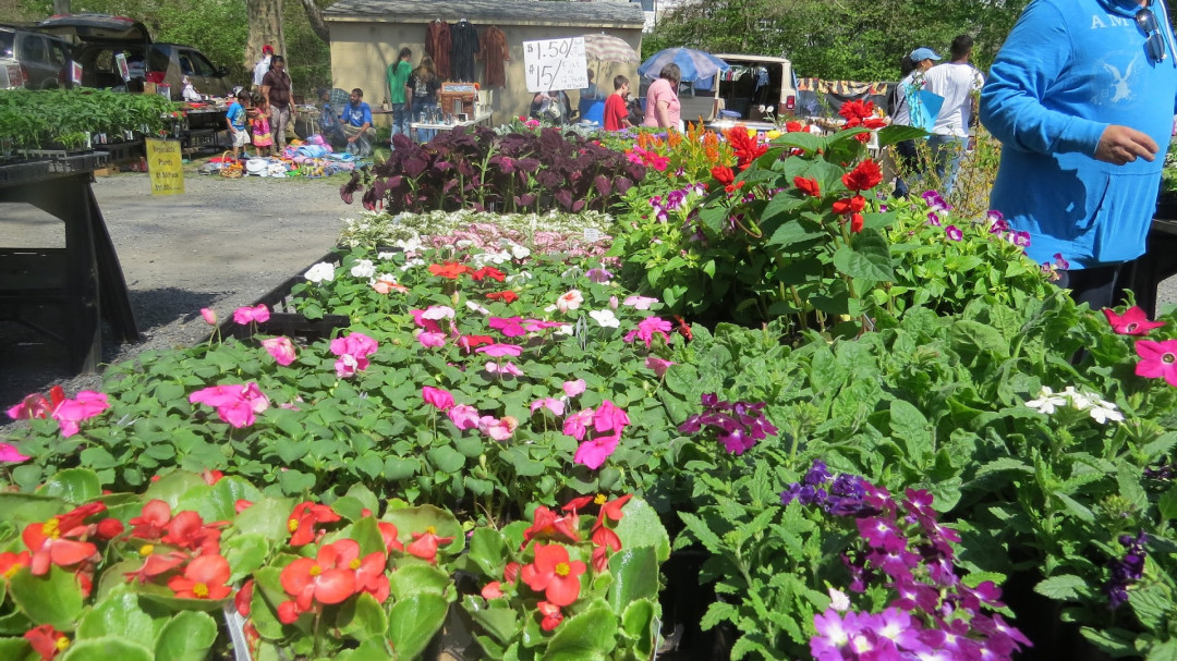 Willow Glen Flea Market