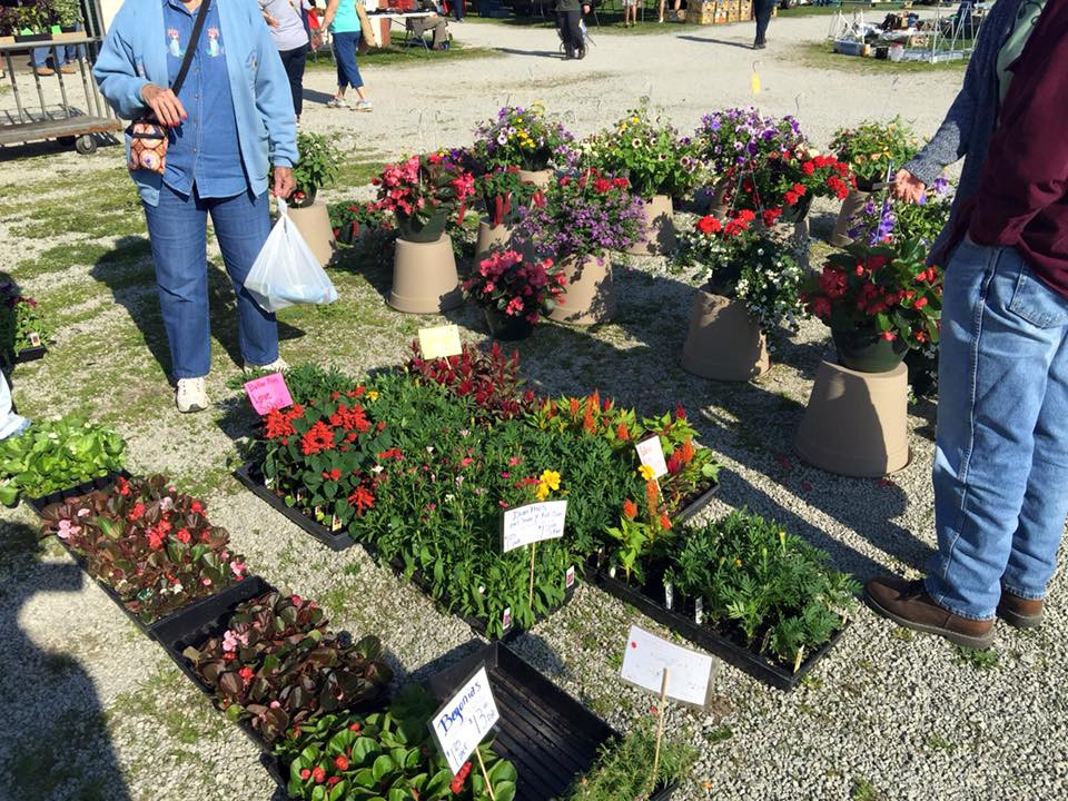White's Farm Flea Market and Auctioneers