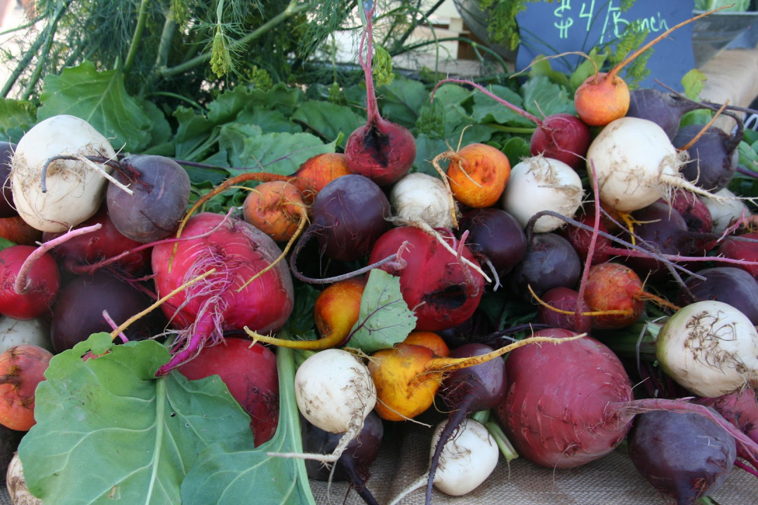 ALAMOSA Farmers Market