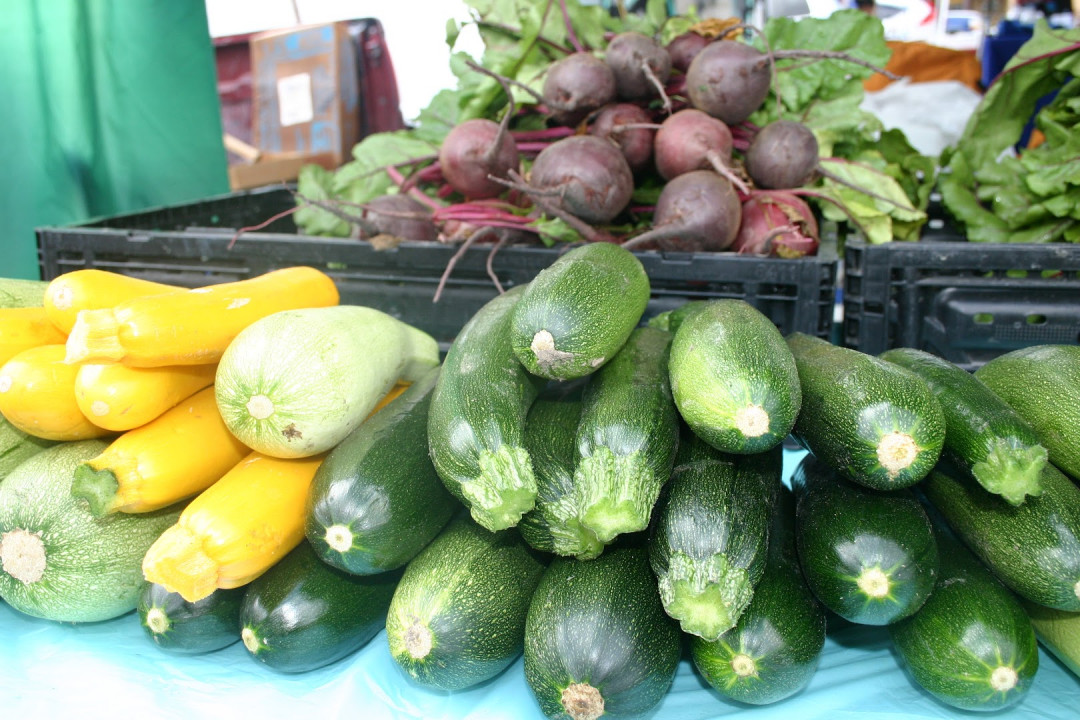 ALAMOSA Farmers Market