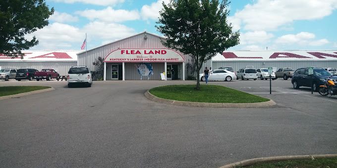 Flea Land