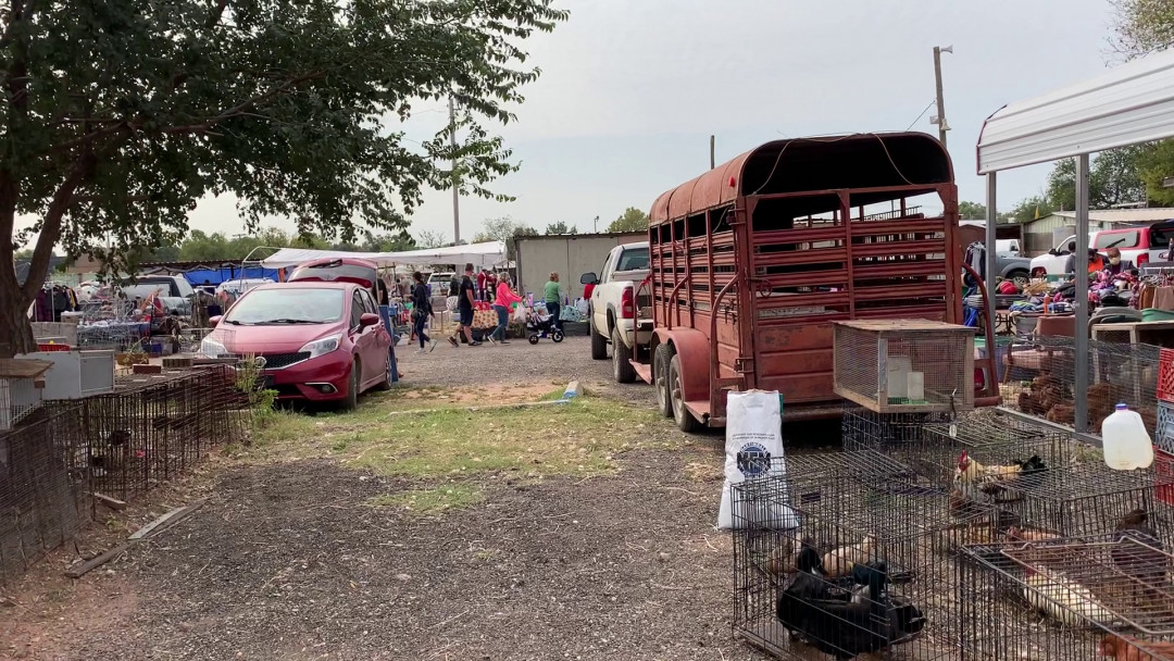 Mary's Swap Meet