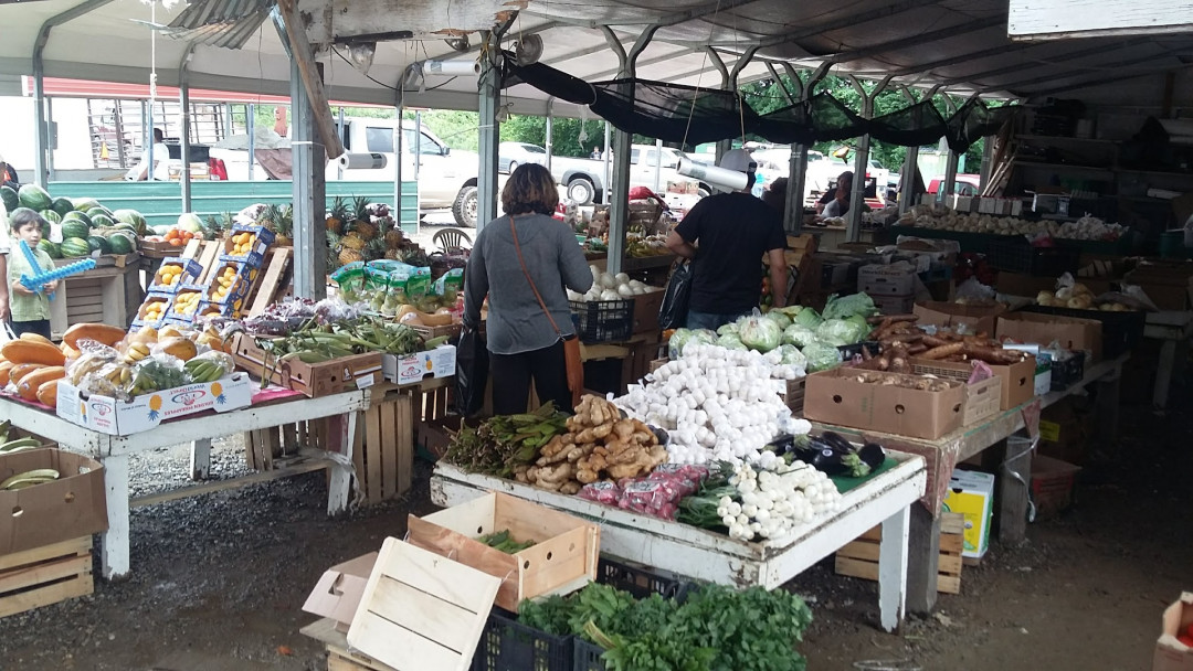 Eleven Acre Flea Market
