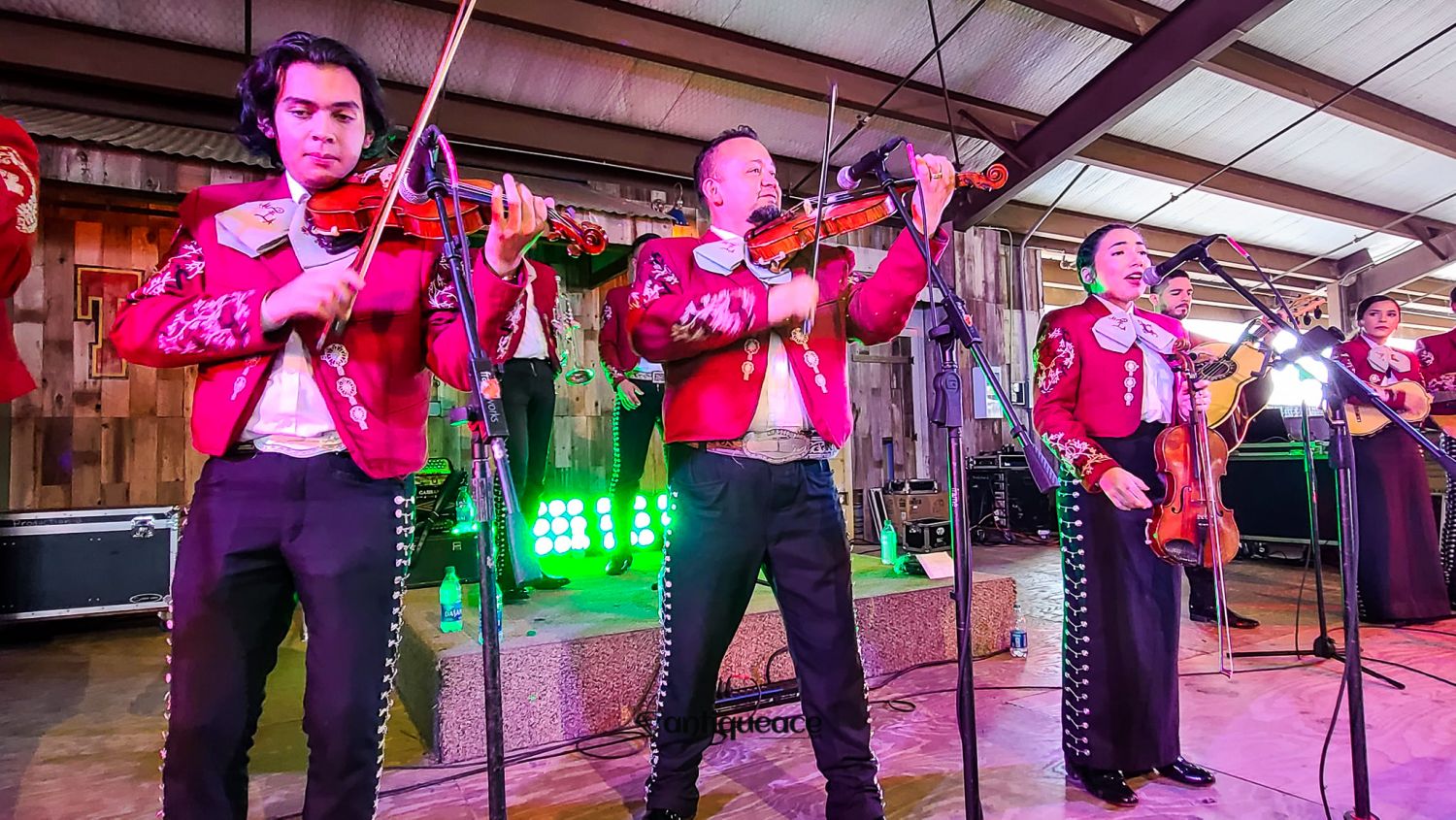  Trader's Village Houston : The Ultimate Weekend Destination