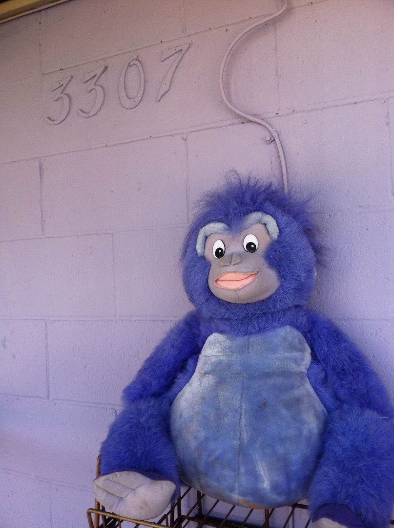 The Purple Monkey