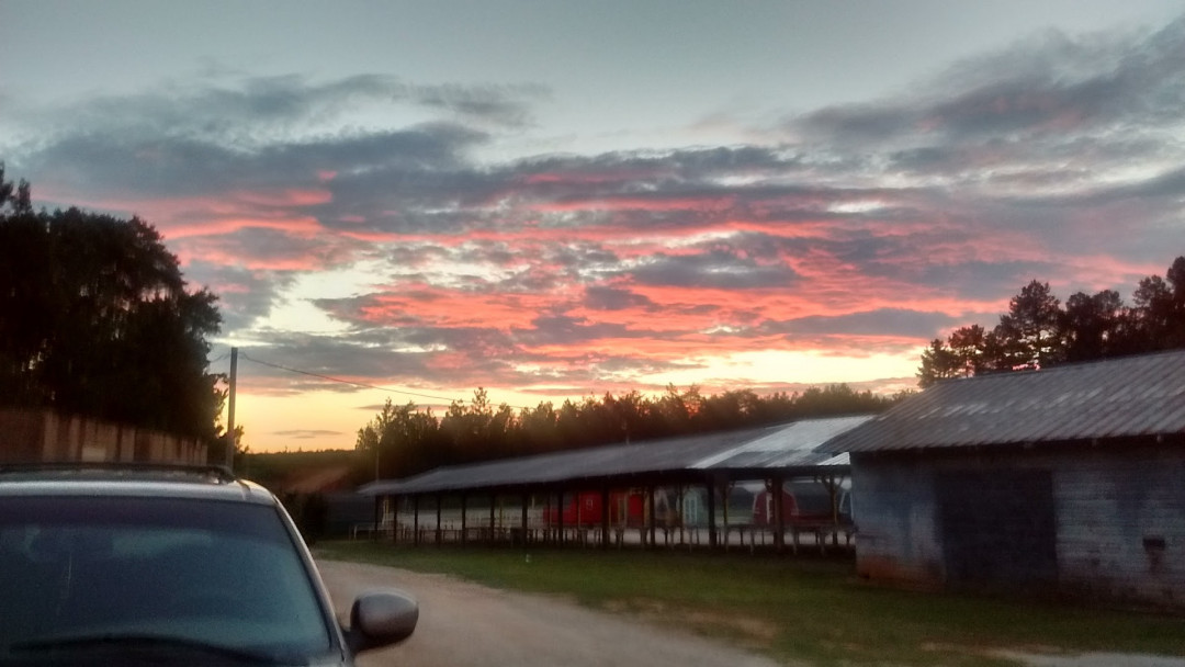 Hwy 11 Flea Market