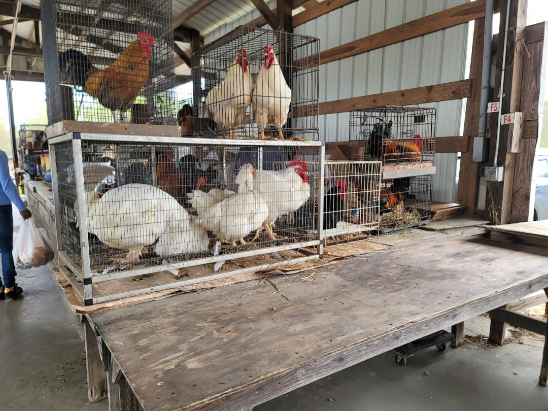The Barnyard Flea Markets