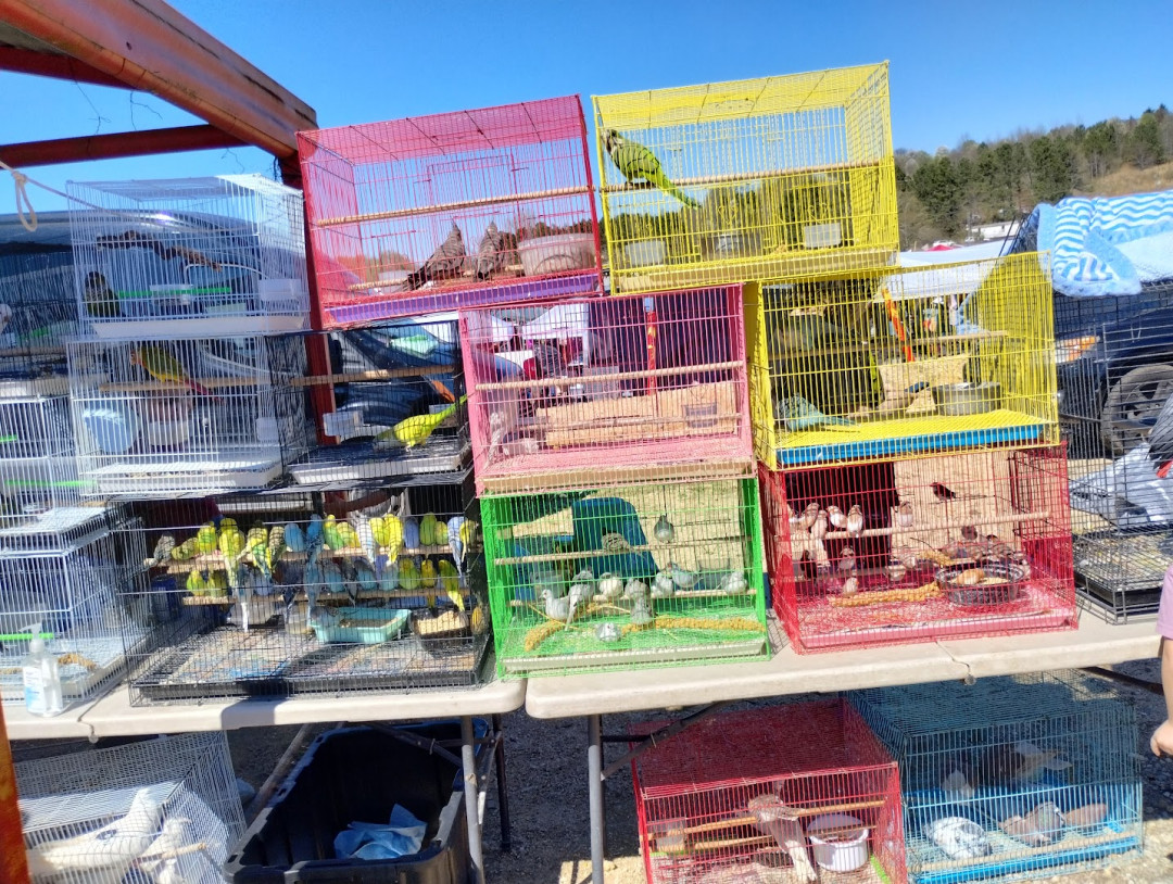 Mountain Top Flea Market