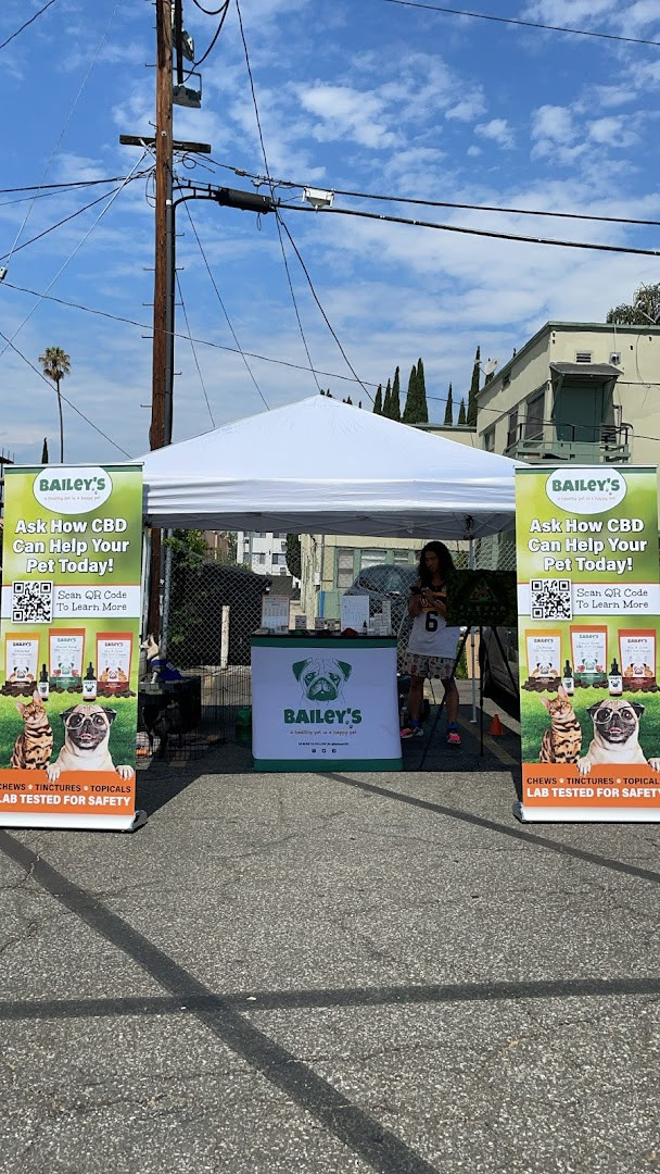 Century City Artisans Market