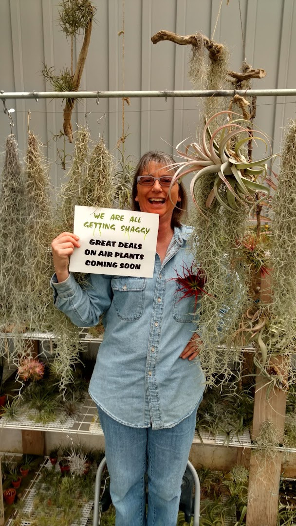 Alice's Air Plants &amp; Savor the Flavor