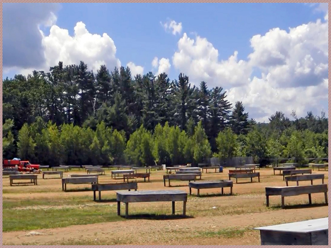 Rietta Flea Market