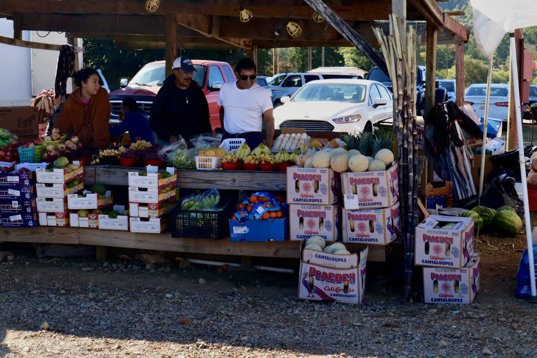 Collinsville Trade Day Flea Market