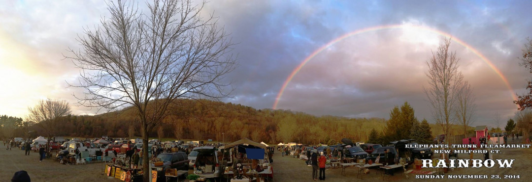 Elephant's Trunk Flea Market