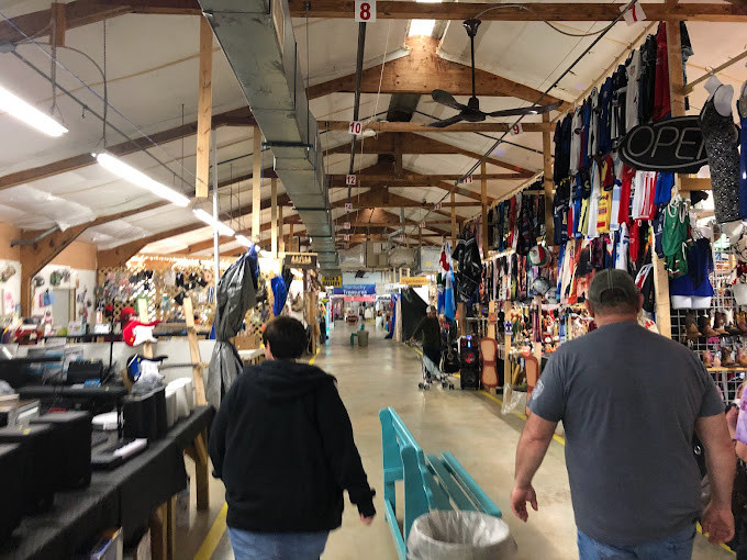 Flea Land