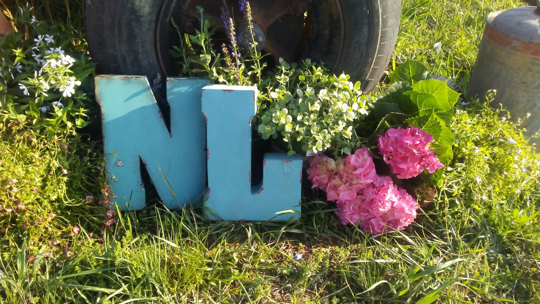 The Nancy Louise Vintage Market