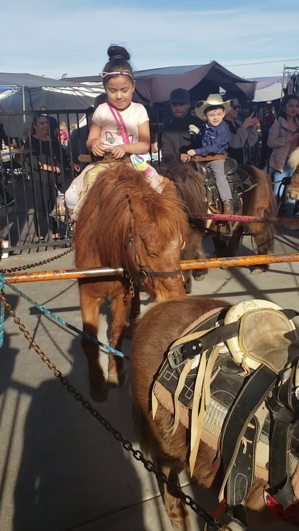El Rematito Flea Market