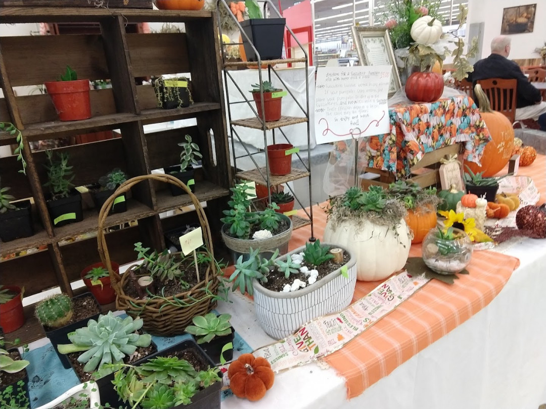 Joppa Market Place