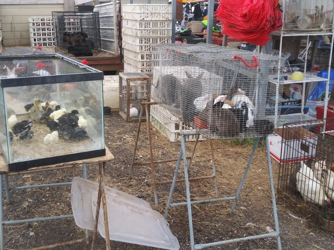 Mary's Swap Meet