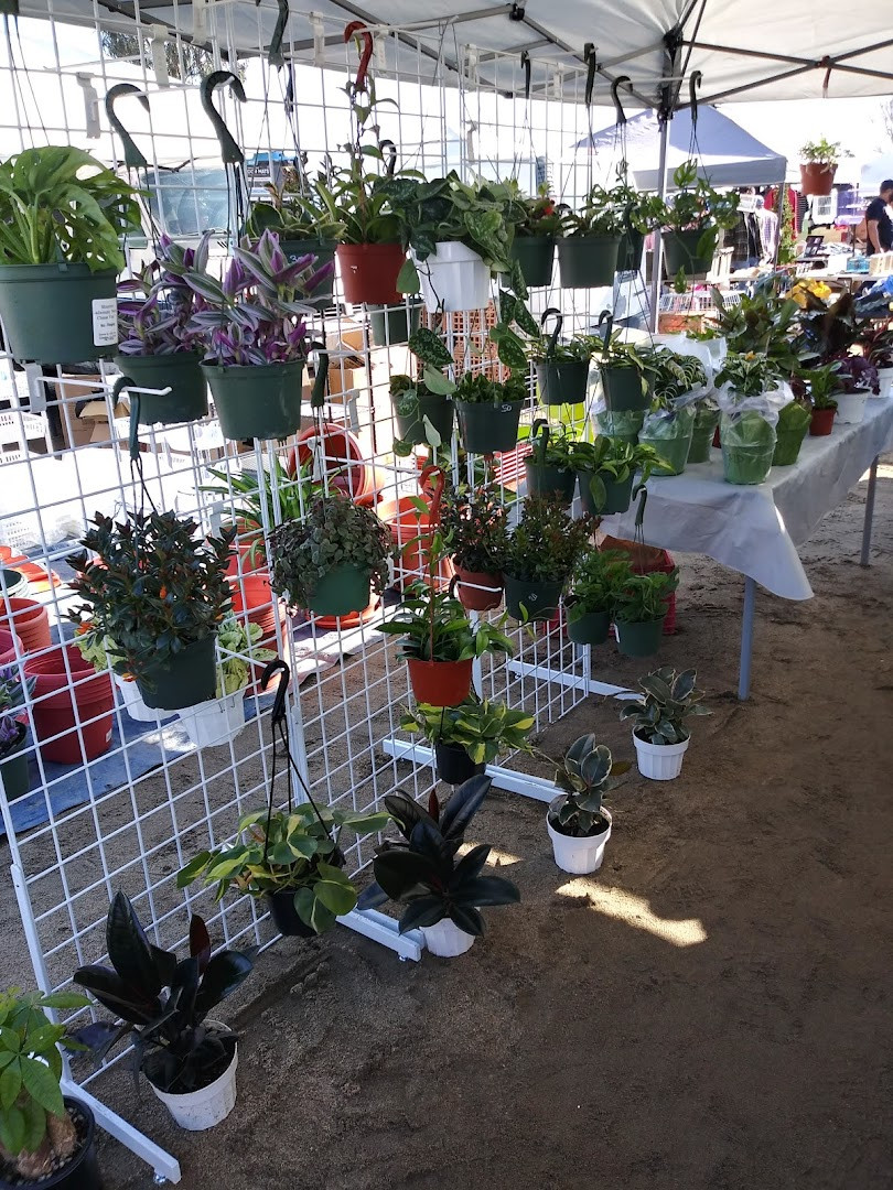 Visalia Sales Yard