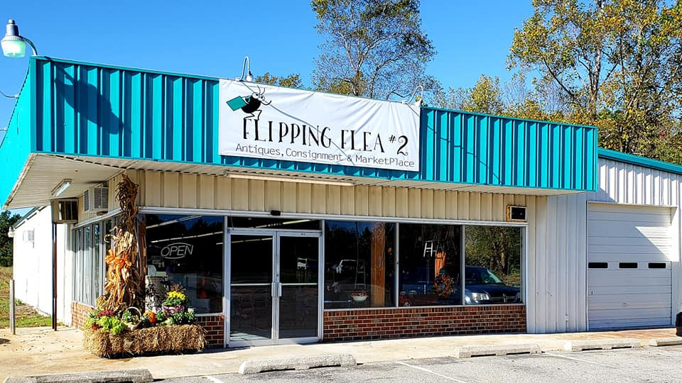 Flipping Flea Flipping Flea