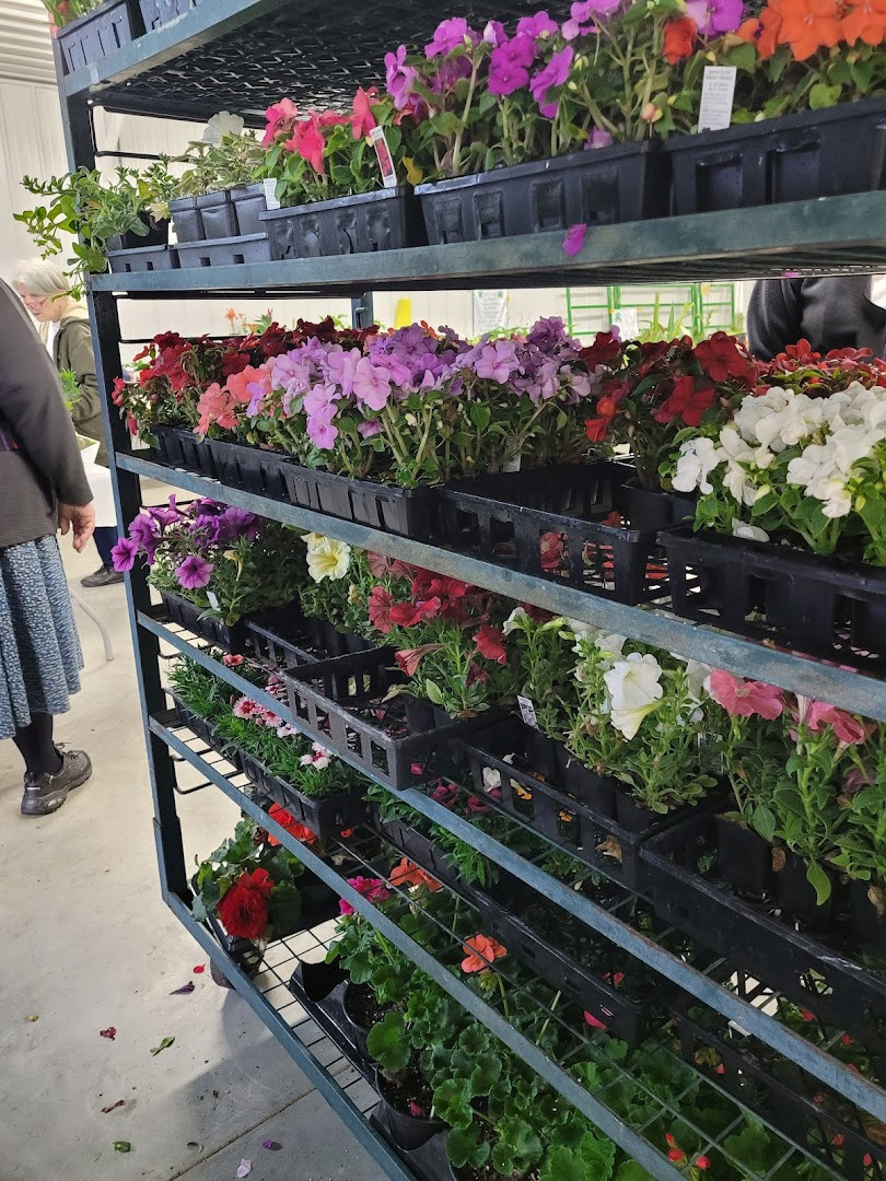 Versailles Open Air Flea Market