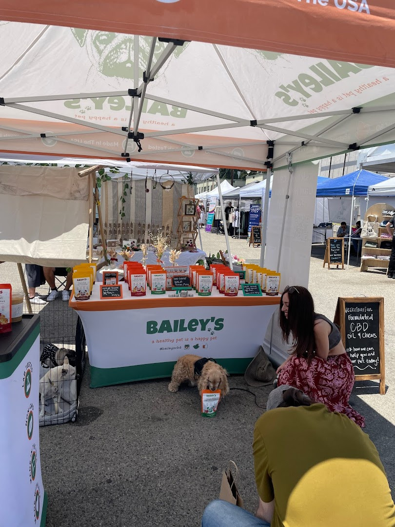 Century City Artisans Market