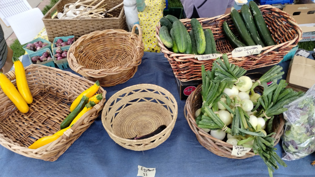 Colorado Farm and Art Market (Market At The Museum)
