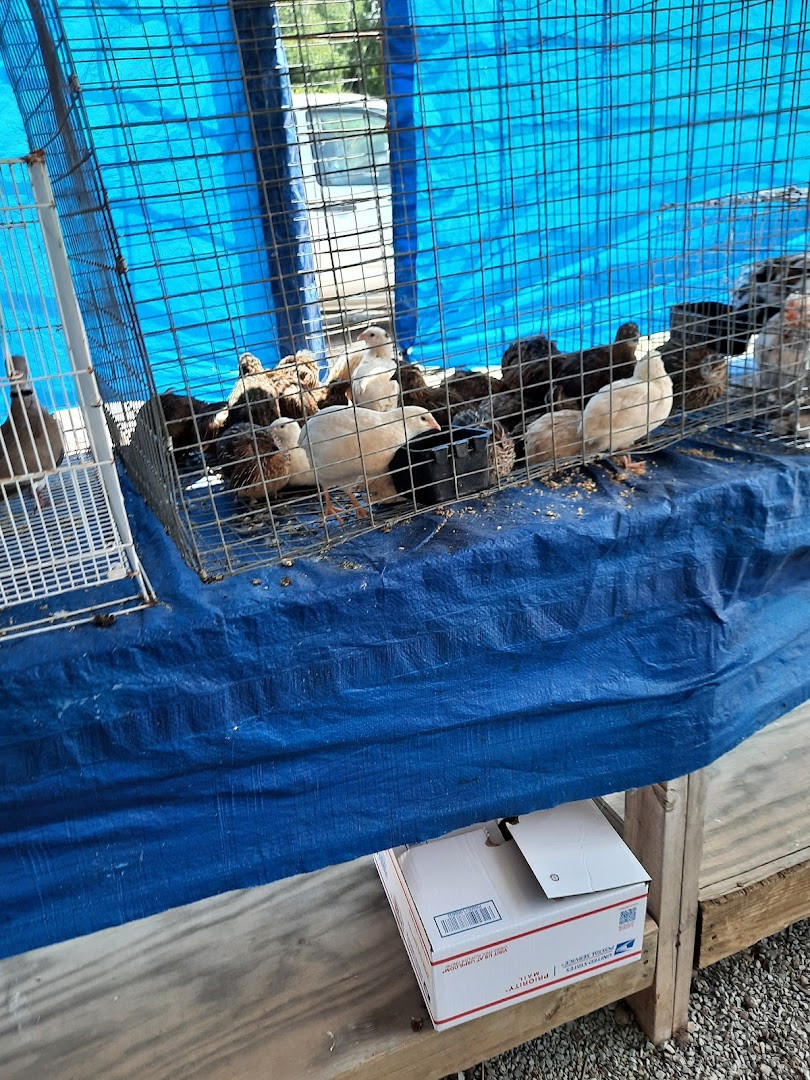 Hilltop Flea Market