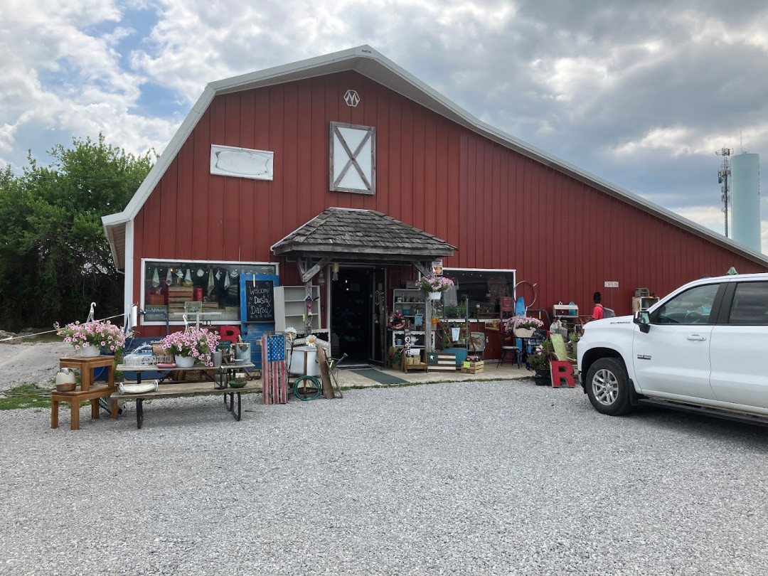 Dusty Daisy Trading Company Dusty Daisy Trading Company