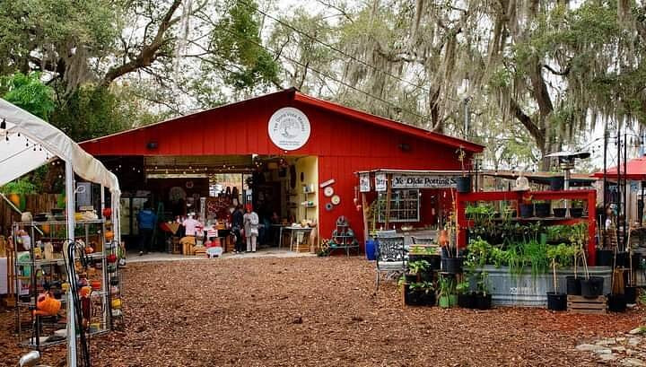 The Dona Vista Market