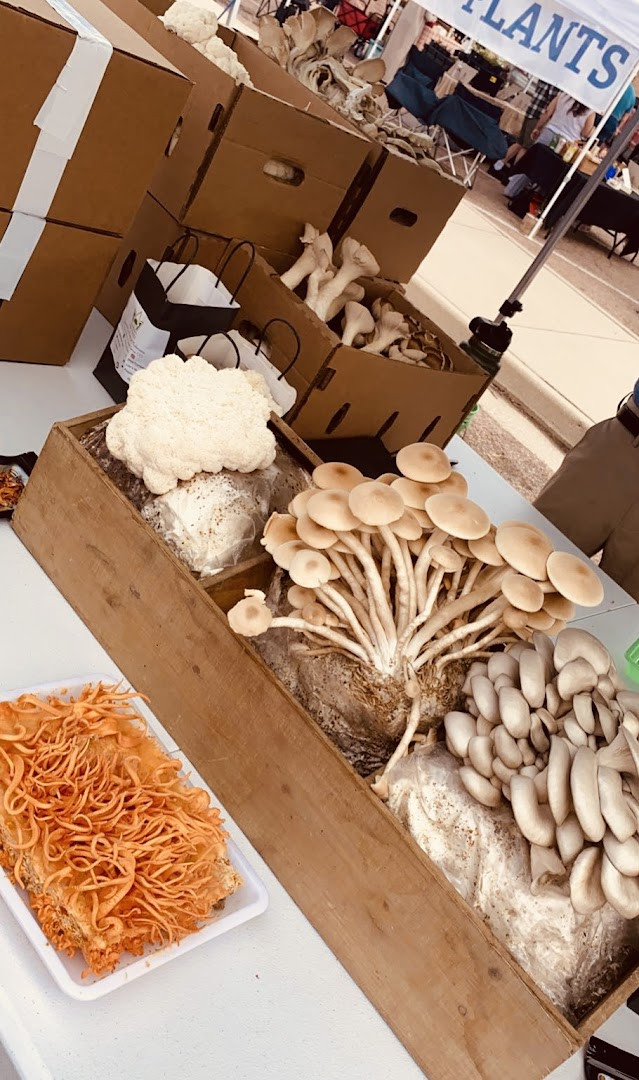 Colorado Farm and Art Market (Market At The Museum)