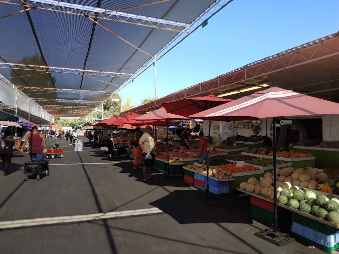 Exploring The San Jose Flea Market  Berryessa 