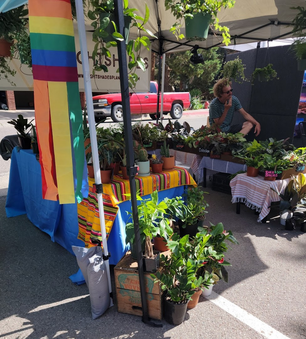 Basalt Sunday Market