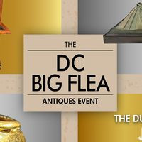 The Big Flea Market