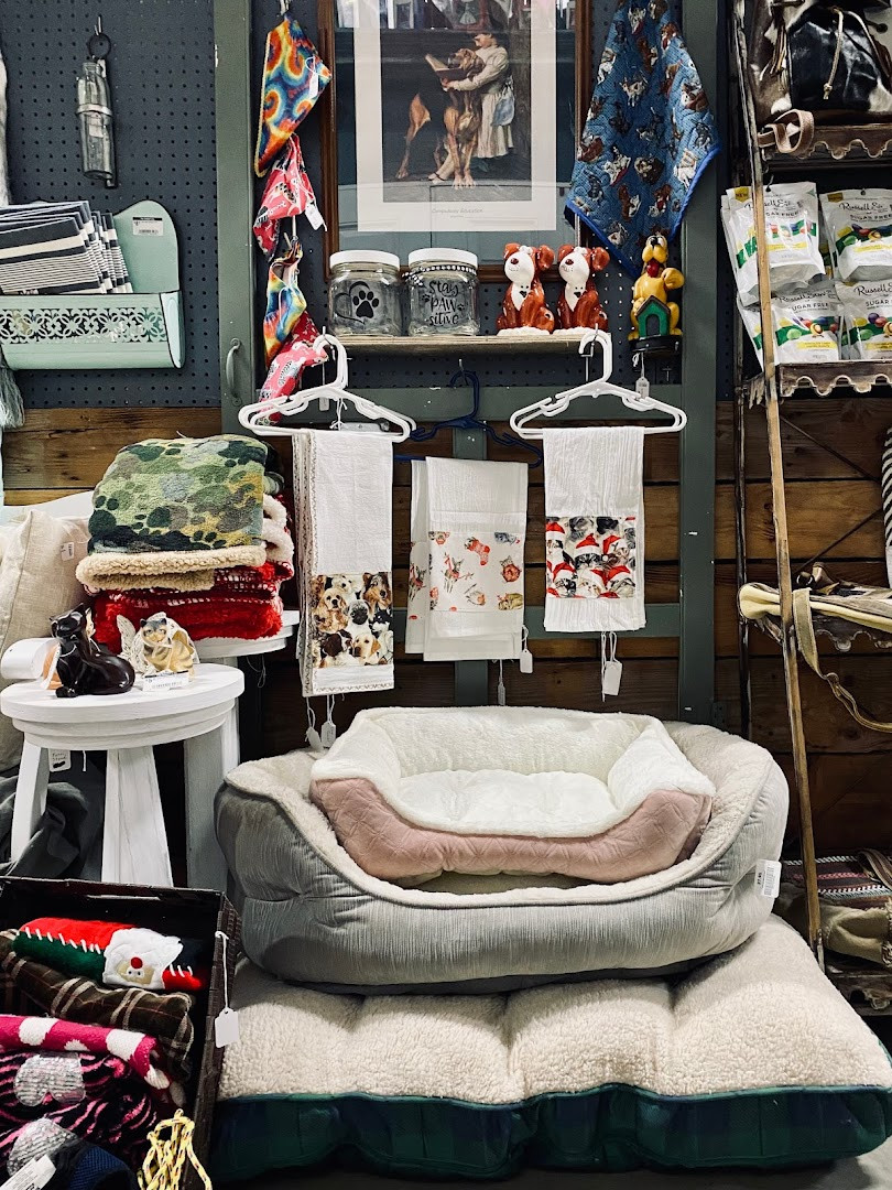 The Creator's Company and Vendor Market