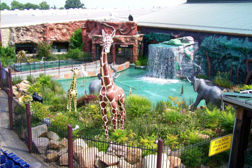 Jungle Jim's International Market