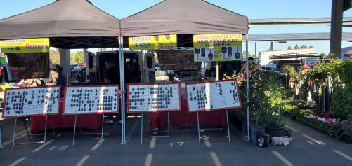 Orange Coast College Swap Meet