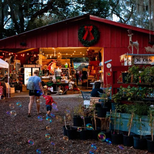 The Dona Vista Market